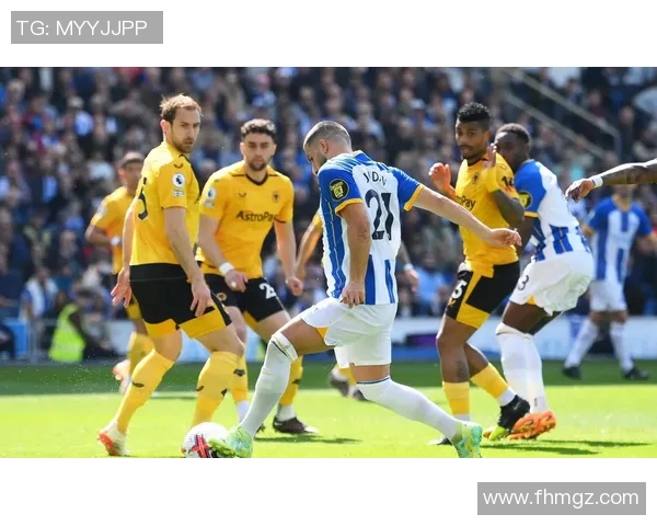 布莱顿对阵狼队赛事分析与推荐策略详解